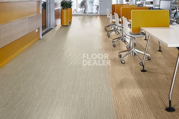 Плитка ПВХ Forbo Allura Click Pro 61253CL5 oyster seagrass фото 2 | FLOORDEALER